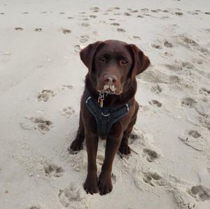 Meet your Posher, Linda